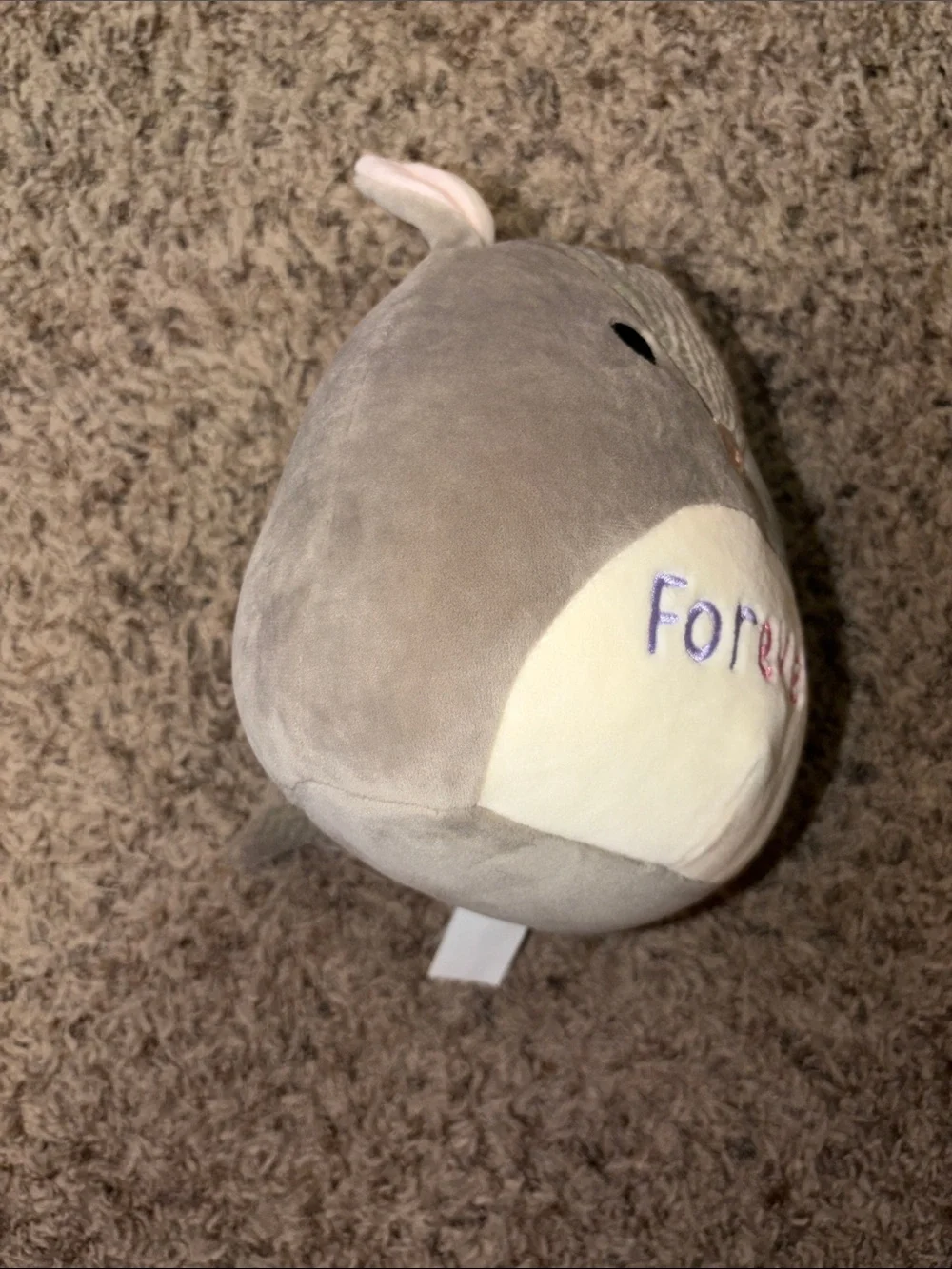 Squishmallow 7